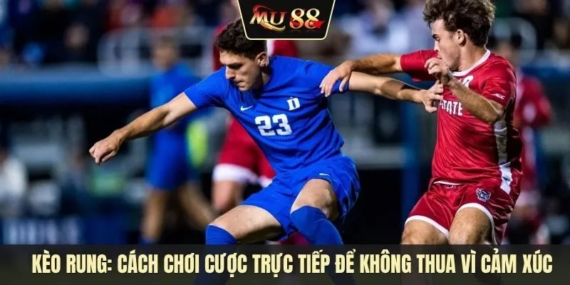 Kèo rung là gì? Cách chơi cược trực tiếp để không thua vì cảm xúc Kèo rung là gì? Cách chơi cược trực tiếp để không thua vì cảm xúc